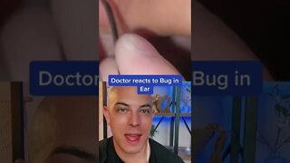 Huge bug extracted from girls ear!