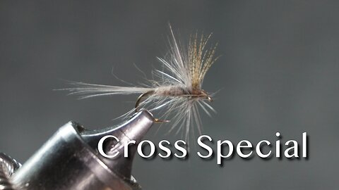 Cross Special