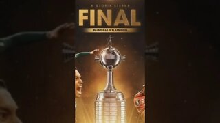 POSSÍVEL FINAL DA COPA LIBERTADORES ENTRE FLAMENGO X PALMEIRAS 2022?