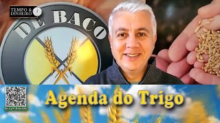 O mercado corresponde às baixas nos estoques mundiais...