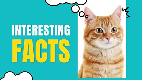 5 Amazing Cat facts I Bet You Didn't Know