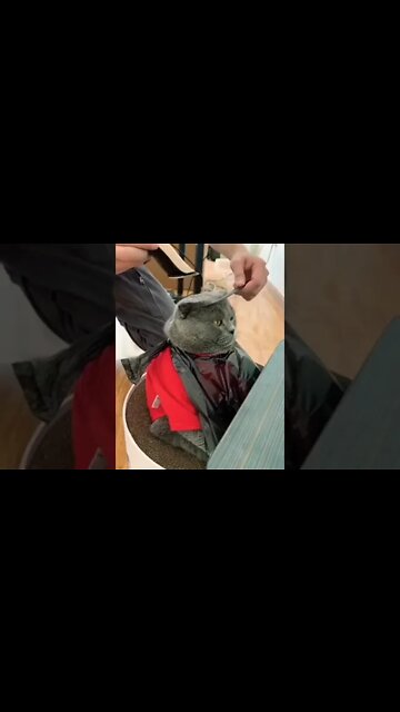 Beauty salon 😂❤️ #shorts #shortsfeed #shortvideo #clips