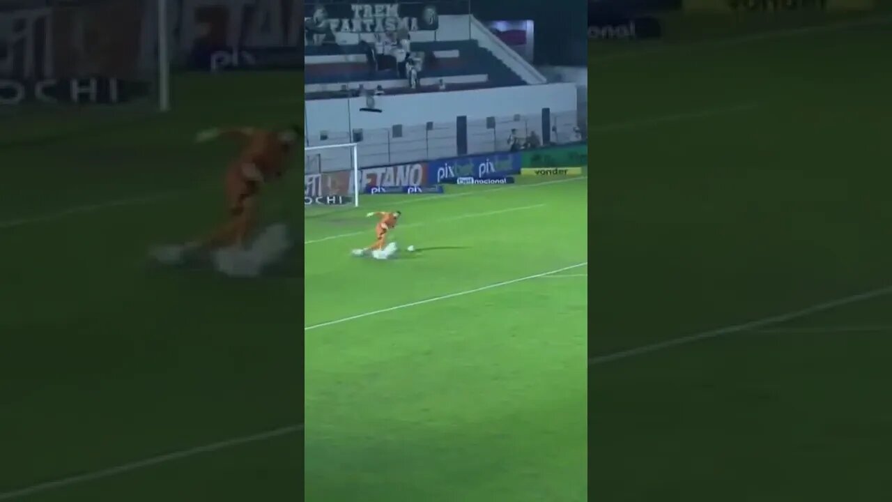 OLHA O VANDERLEEEEEEI