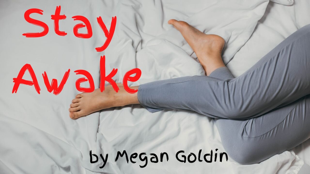 STAY AWAKE by Megan Goldin