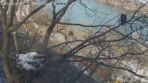 Hays Eagles Mom watches colorful long train go by 2021 02 04 1205 PM