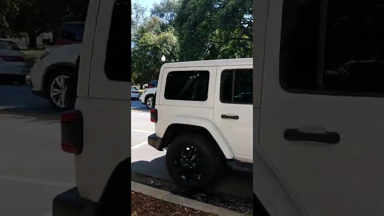 #gangstalking perp walk 08/06/2022 Pt. 2
