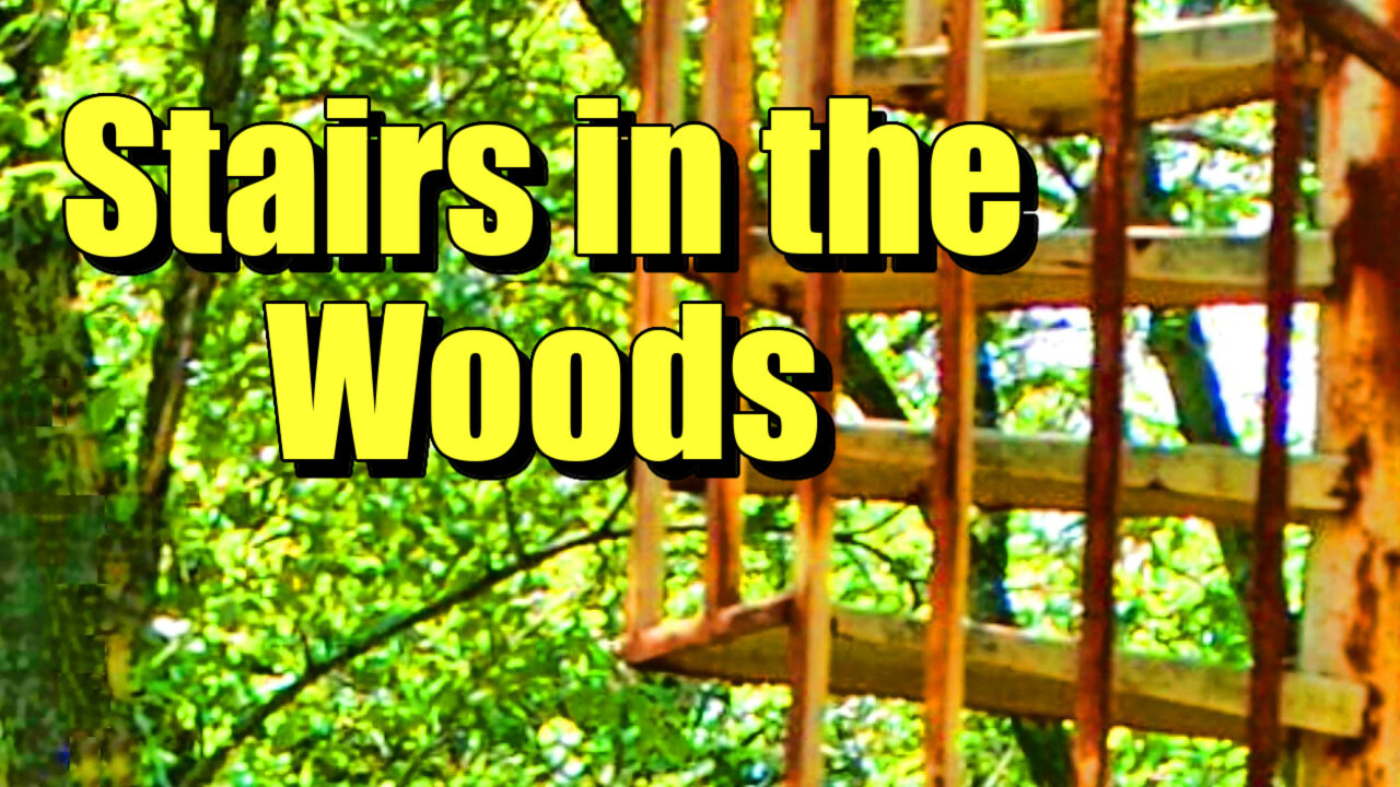 Stairs in the Woods - Forest Ranger Mystery - SAR Search and Rescue