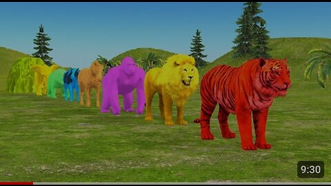 Paint animals gorilla, cow, tiger, lion fountain crossing game