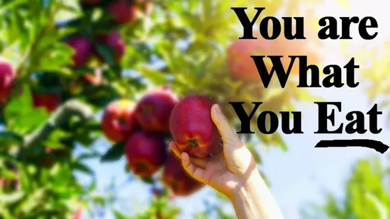 Episode #31: You are what you eat