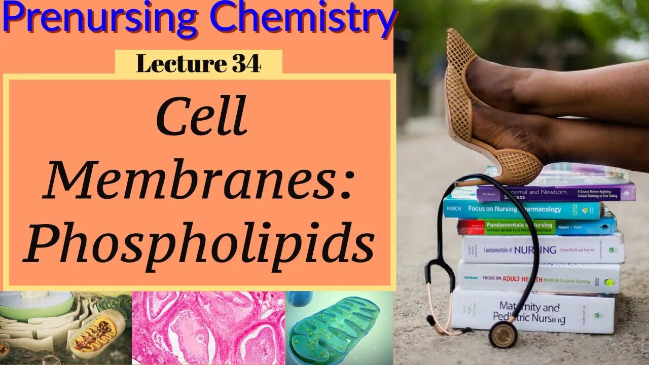 Cell Membranes & Phospholipids Chemistry Video Chemistry for Nurses Lecture Video (Lecture 34)