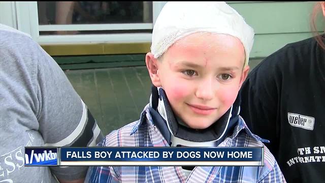 Boy attacked by two dogs is out of the hospital