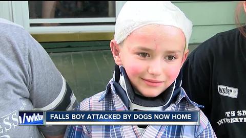 Boy attacked by two dogs is out of the hospital