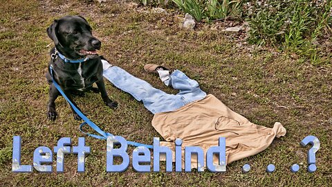 Left Behind . . .?