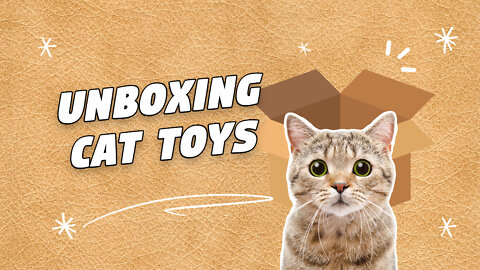 Bonding with your cat - Unboxing cat toys