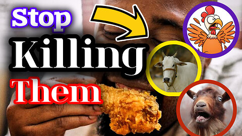 Stop Killing and Eating Animals! 🙏🙏