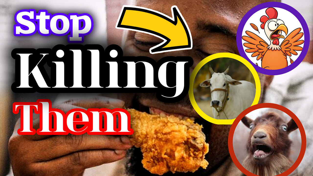 Stop Killing and Eating Animals! 🙏🙏
