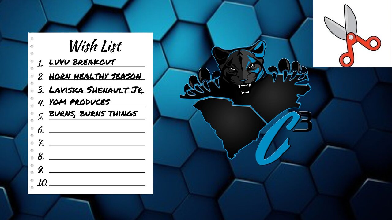 A Carolina Panthers Fan Wishlist