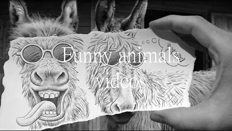 Funny animals, please laugh!