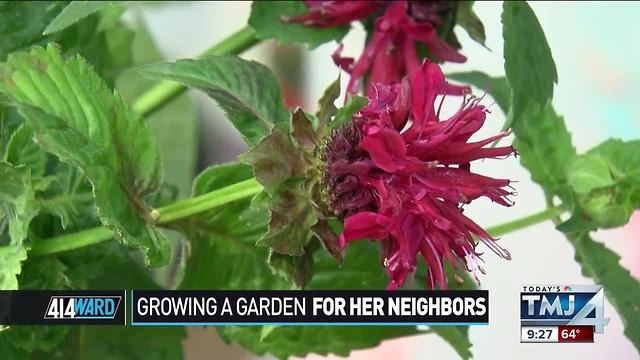 414ward: Growing a garden for her neighbors