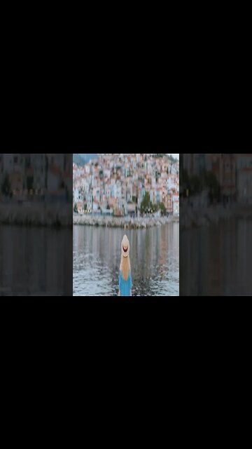 Wallflowers Bad Snacks #shorts #shortsvideo #music #calm #relaxsation