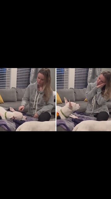 Woman Has Affectionate Bedtime Routine With Her Deaf Dog