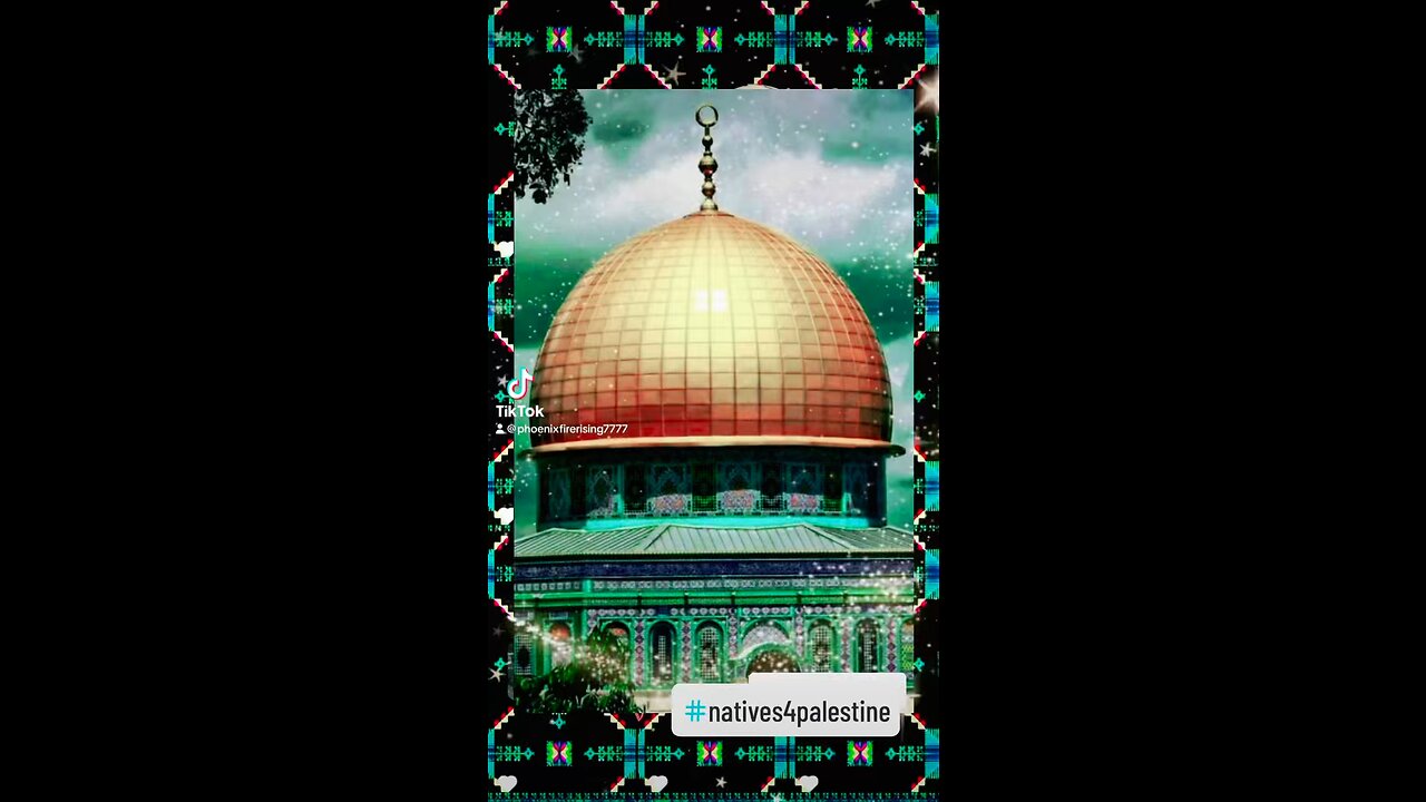 🦬 #natives4palestine