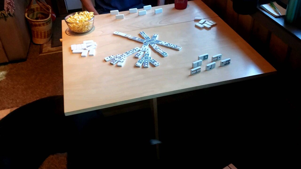 Playing Dominoes