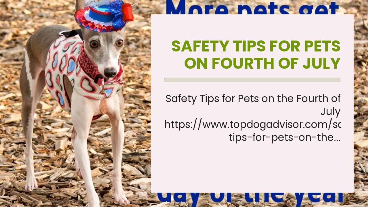 Safety Tips For Pets on Fourth of July