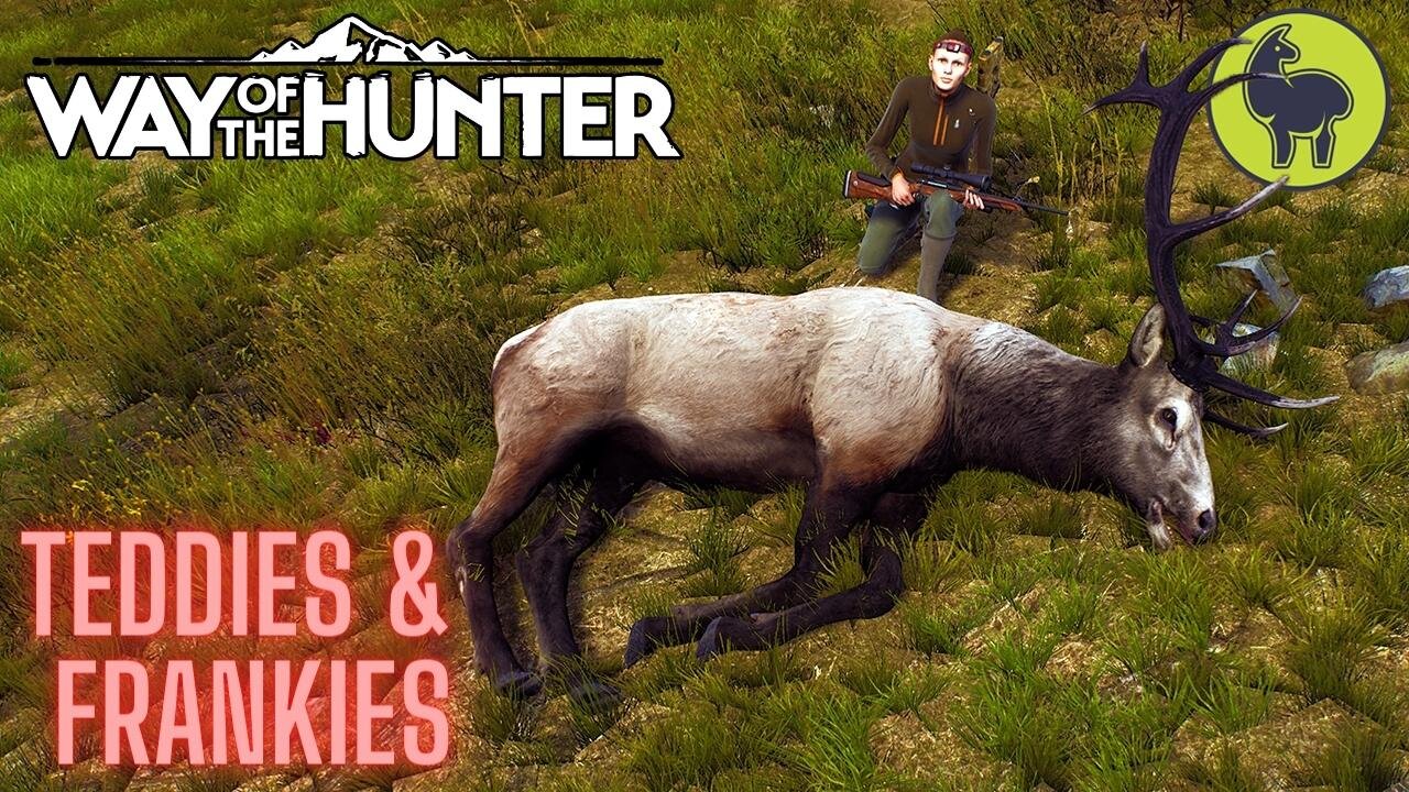 Teddies and Frankies, Aurora Shores | Way of the Hunter (PS5 4K)