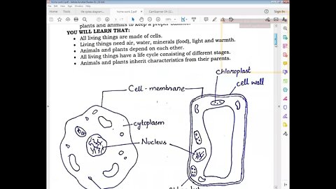 science class 4, 20 april 2021