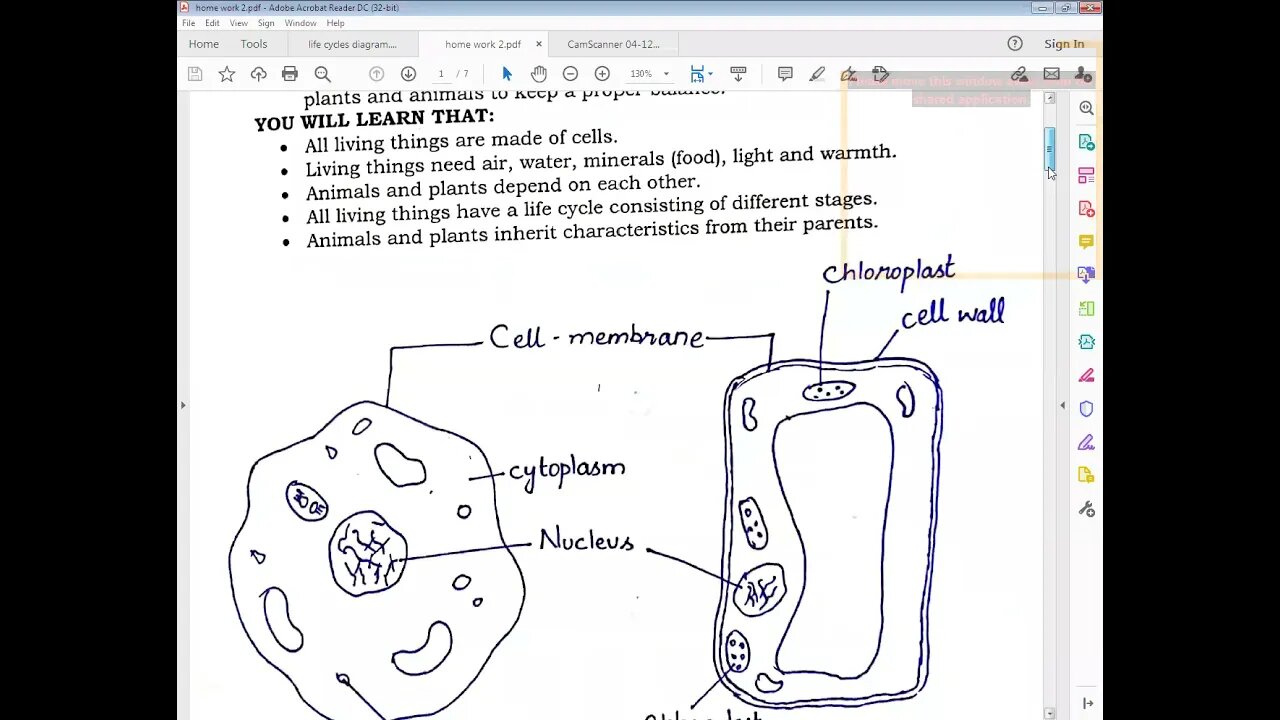 science class 4, 20 april 2021