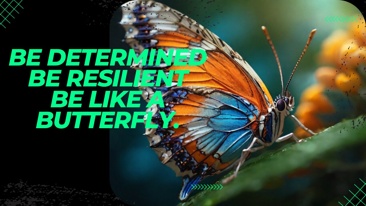 Be Like a Butterfly: A Journey of Resilience