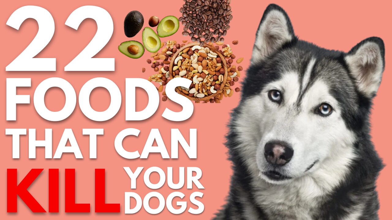 Keep Your DOGS Away From These Foods || 22 Foods That Can Kill Your Dogs