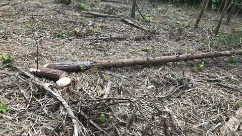 Every is bad at it when they are getting started