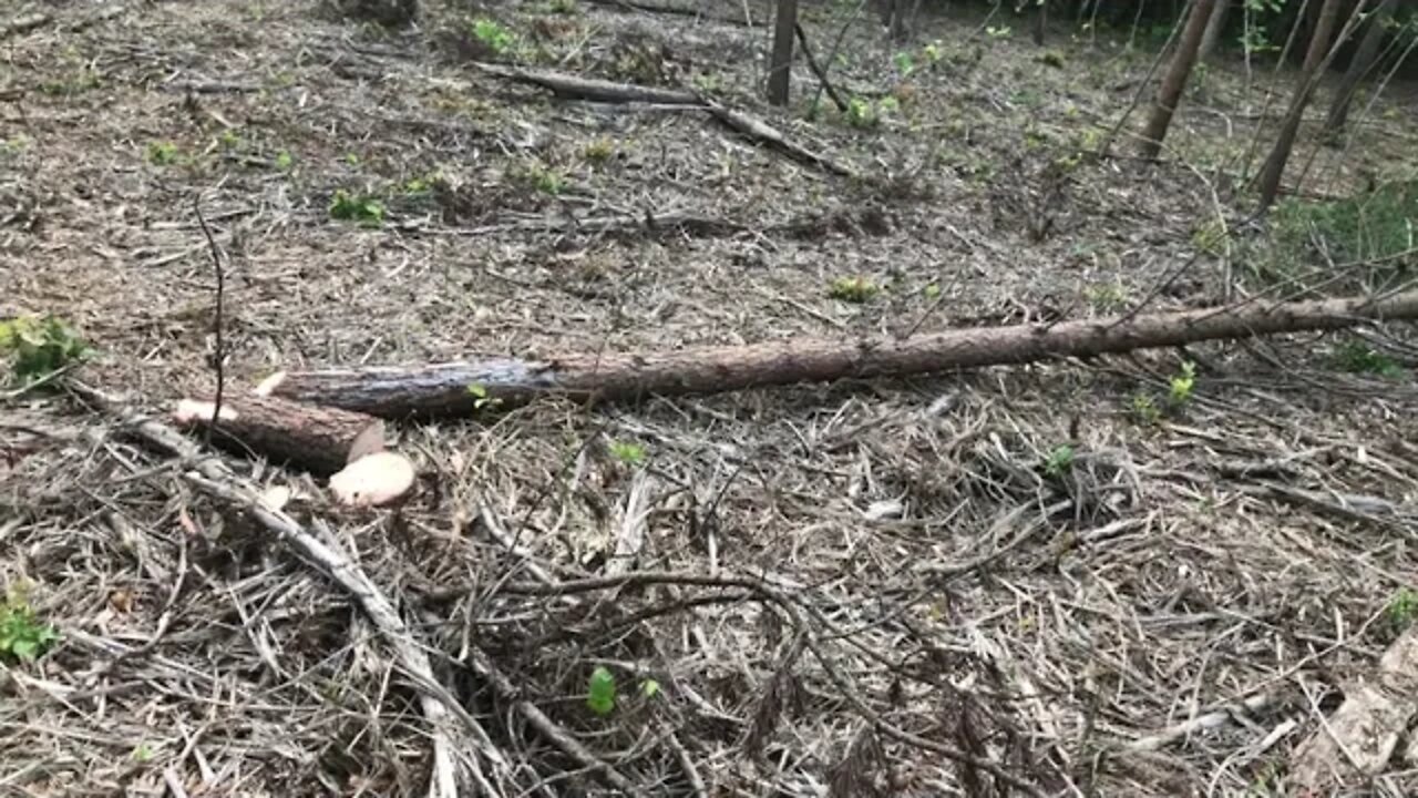 Every is bad at it when they are getting started