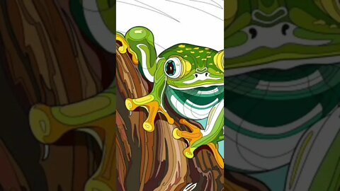 Here is a tree frog