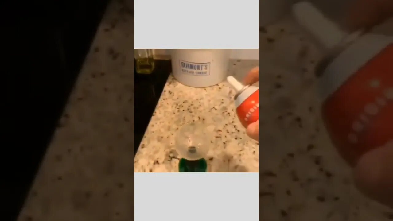 You are not alone bro whipped cream...😂🤤🐶