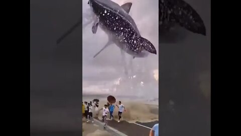 esse vídeo é real ou fake? 😱😱😱