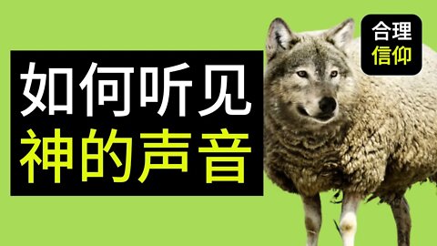 【大鸟合理的信仰 #7】 听见神说话 听见圣灵对我说话 信仰问题Q&A
