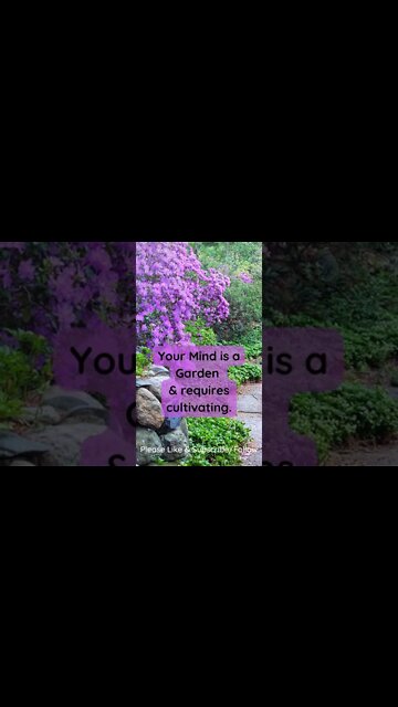 Your Mind is a Garden