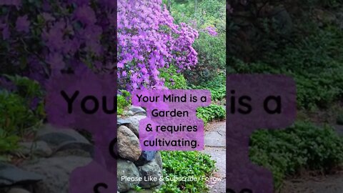 Your Mind is a Garden