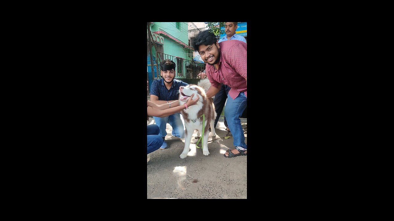 Husky is having good time with local people #KOLKATA