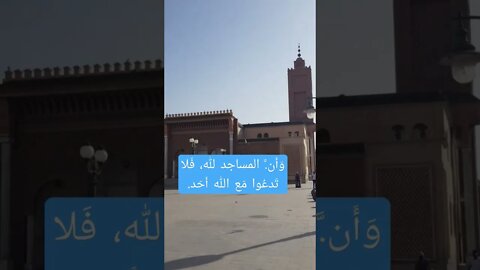 من مدينة وجدة