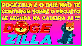 DOGEZILLA E O QUE NÃO TE TE CONTARAM SOBRE O PROJETO