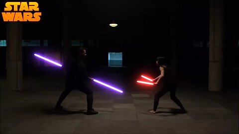 Elektra with lightsabers