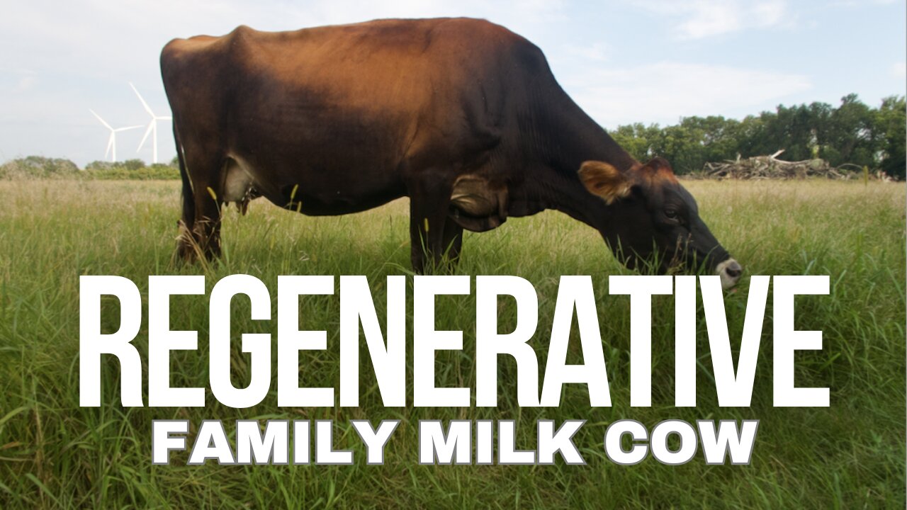 WHAT WE HAVE LEARNED KEEPING A FAMILY MILK COW