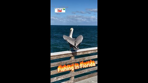 Florida