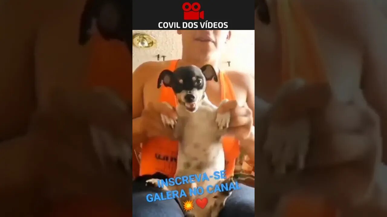 TAL PAI, TAL FILHO 😂😂😂 #shorts