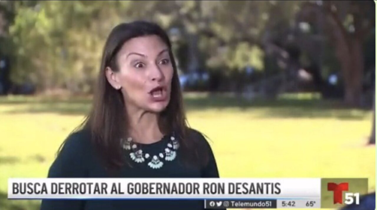 Dem. Nikki Fried Explains How She 'Talks Slow' to Florida Hispanics