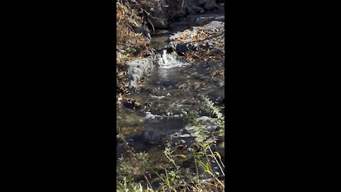 Mitchell Canyon Creek